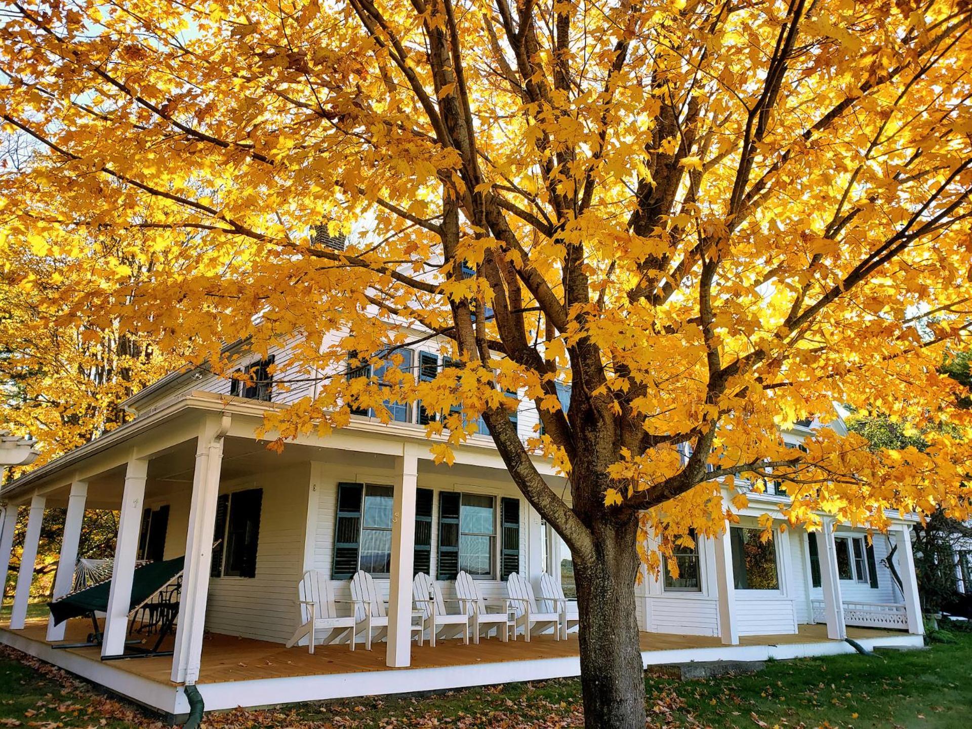Maguire House Bed And Breakfast Ashburnham Exterior foto